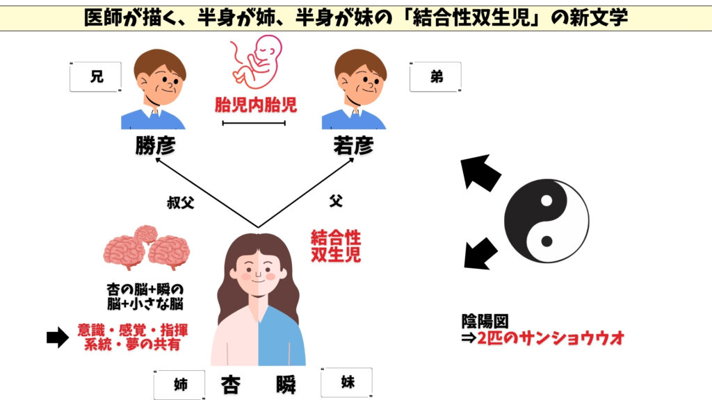 サンショウウオの四十九日　相関図