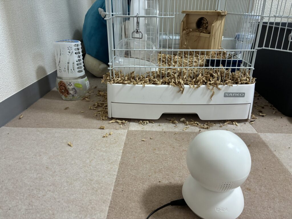 シマリス　部屋　環境