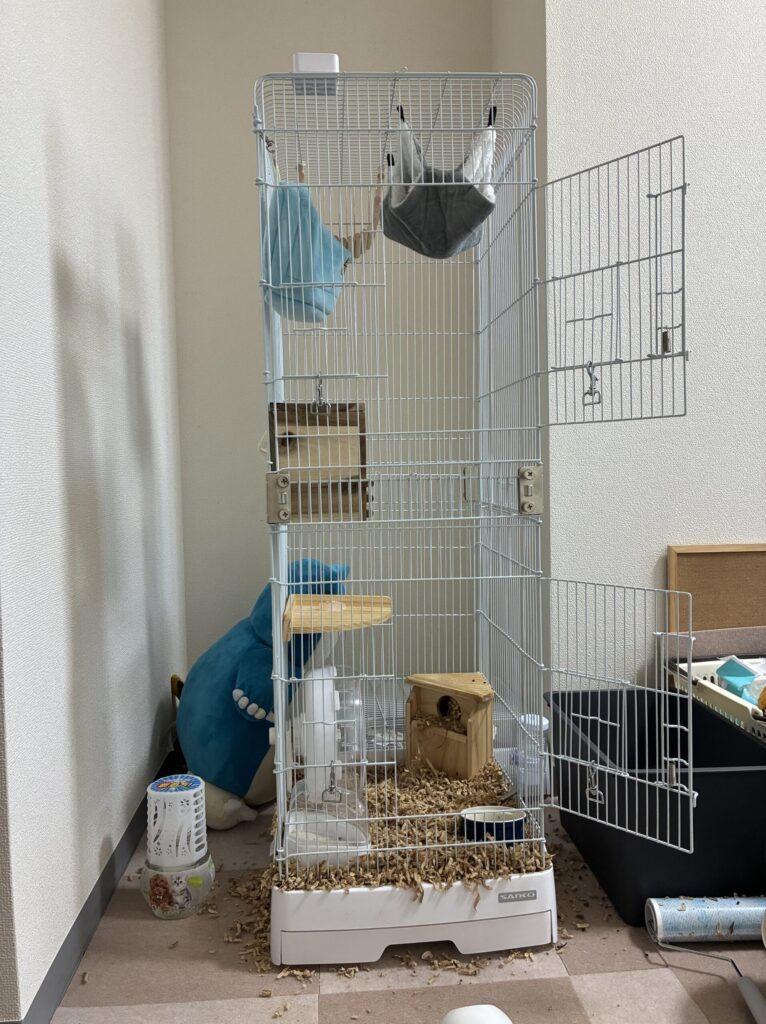 シマリス　飼育環境