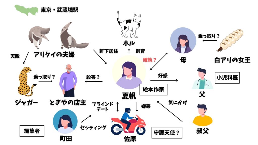 夏帆 相関図